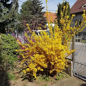 garden-apartment-donau-city.vienna-besthotels.com/